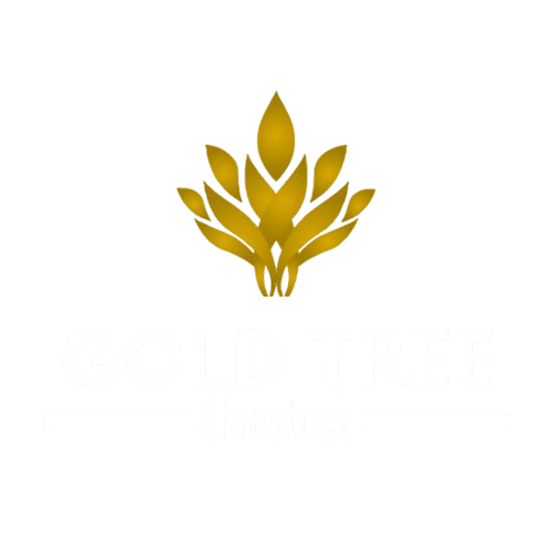 Gold Tree Livestock